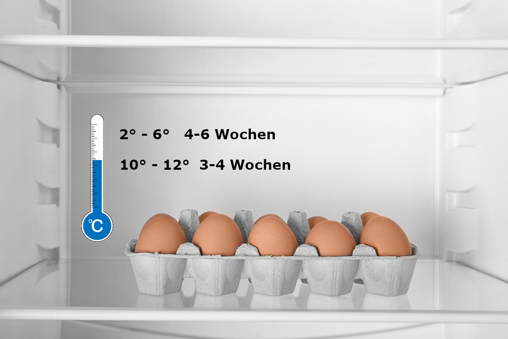 Richtige Temperatur für die Eier