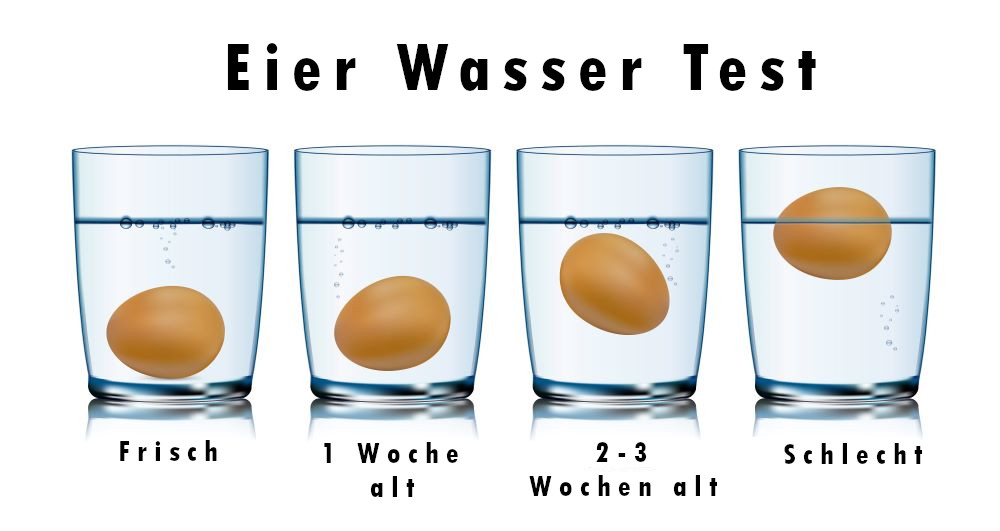 Eier Wasser Test