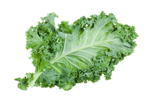 Superfood Grünkohl oder Kale