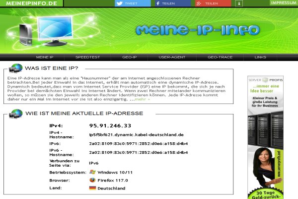 Screenshot der Webseite meineipinfo.de