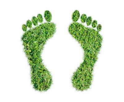 Was ist der ökologische Fußabdruck