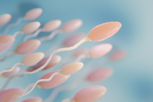 Spermienqualität erhöhen und Fruchtbarkeit steigern