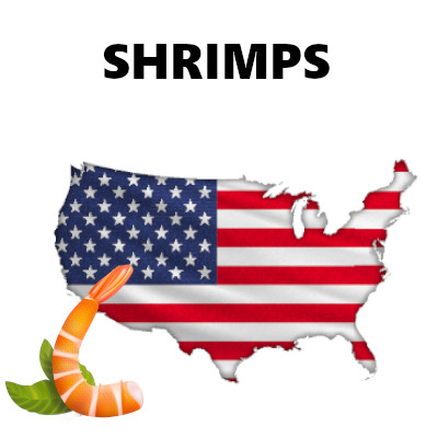 USA Shrimps